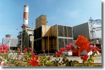 US$65 million for Termoflores SA