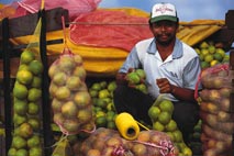 CAF libera USD 20 milhões para o setor agroindustrial argentino