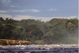 19 bancos de desarrollo suman esfuerzos a favor del medio ambiente