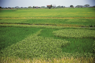 Early warning systems for natural disasters to be implemented in Brazil with CAF support