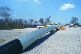 International call for feasibility study for Urupabol gas project