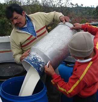Nova contribuição para o fortalecimento das cadeias produtivas no Equador