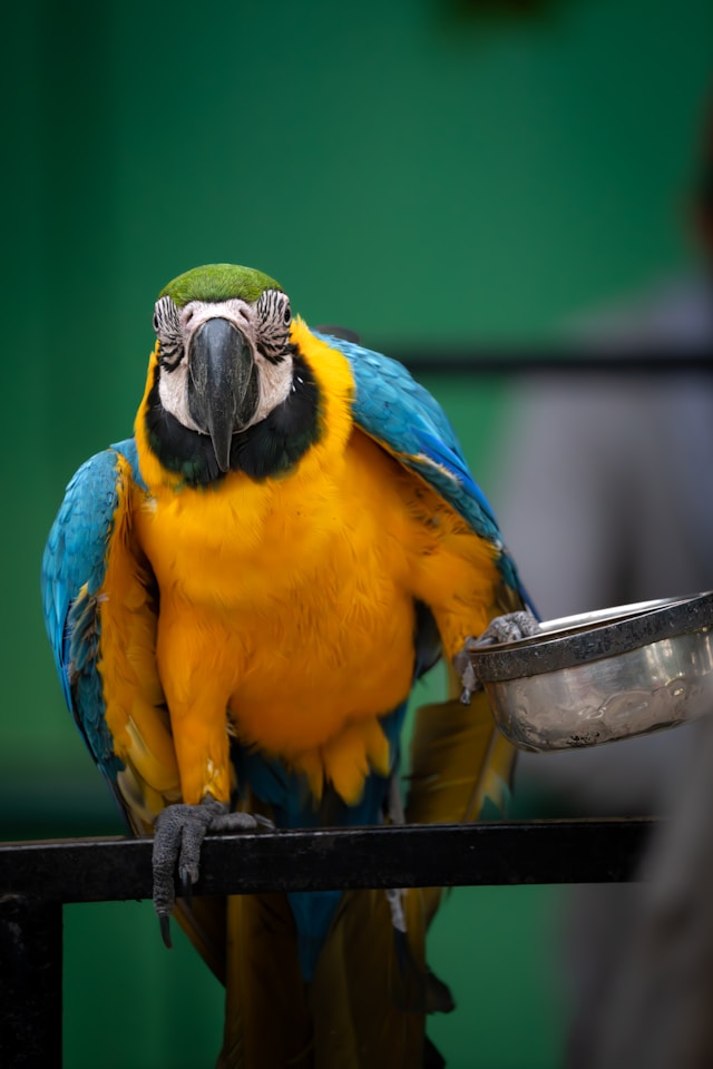 América Latina y el Caribe, líder en biodiversidad global