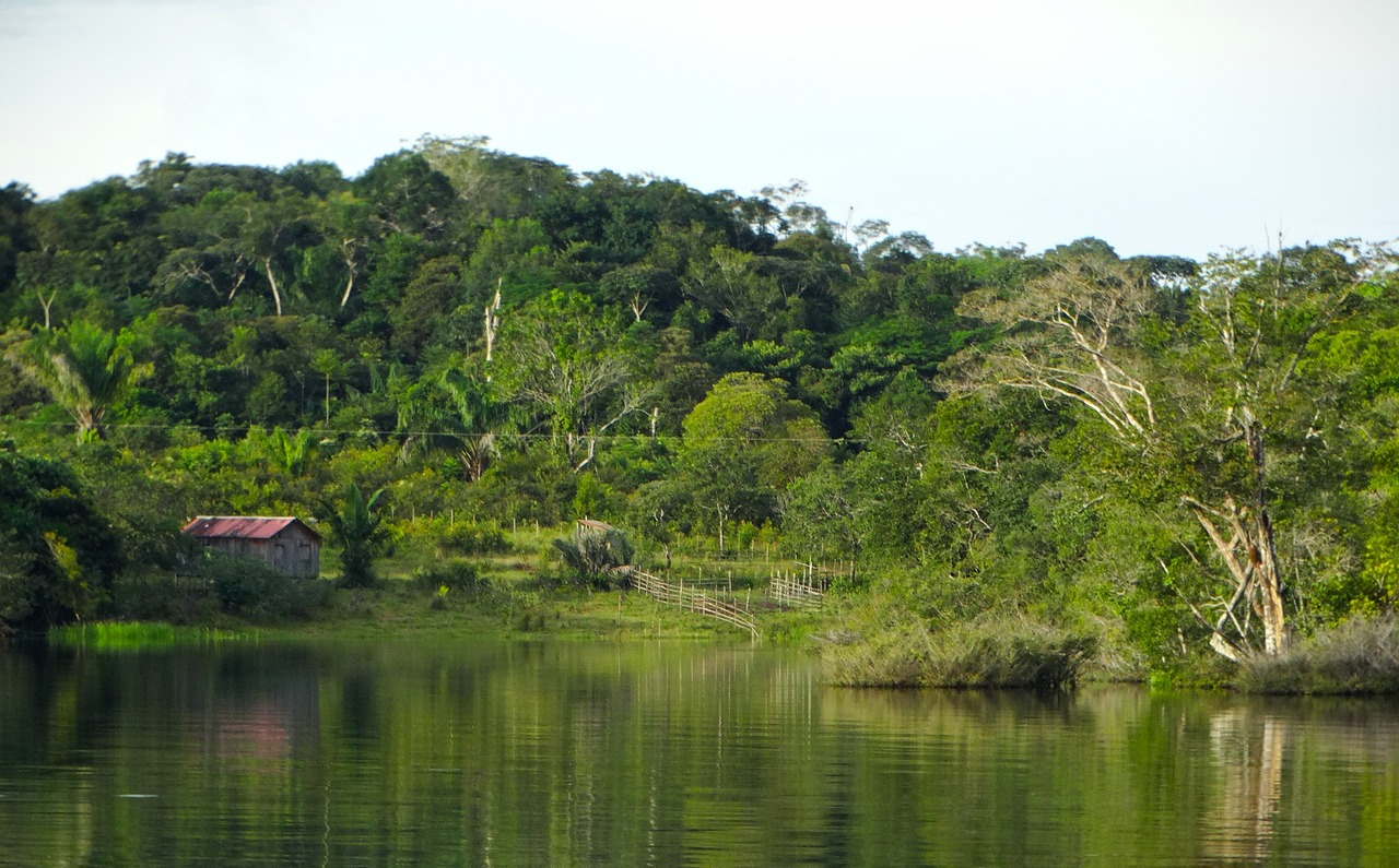 Los desafíos de la integración fronteriza en la amazonía brasileña