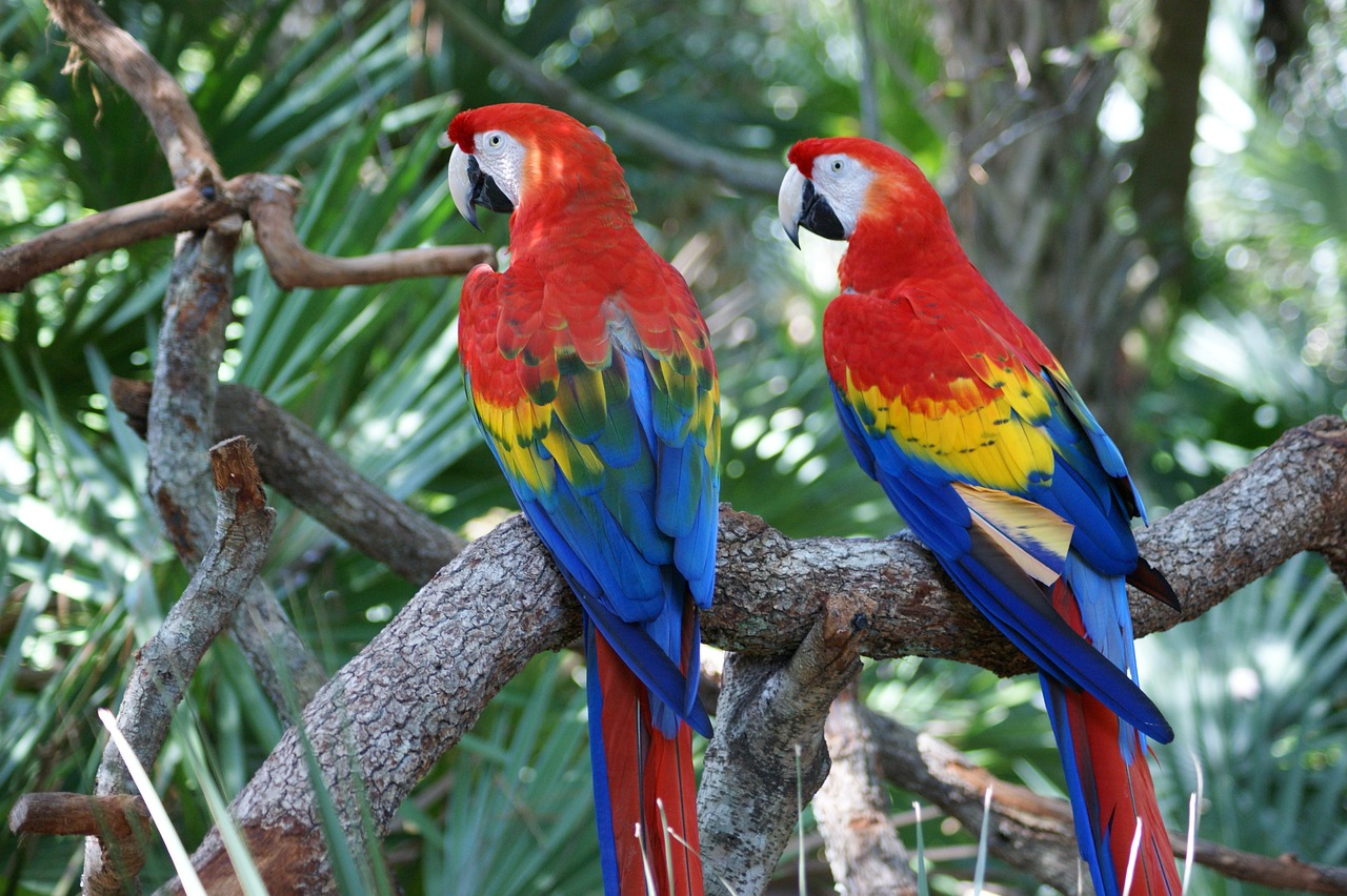 América Latina y el Caribe, líder en biodiversidad global