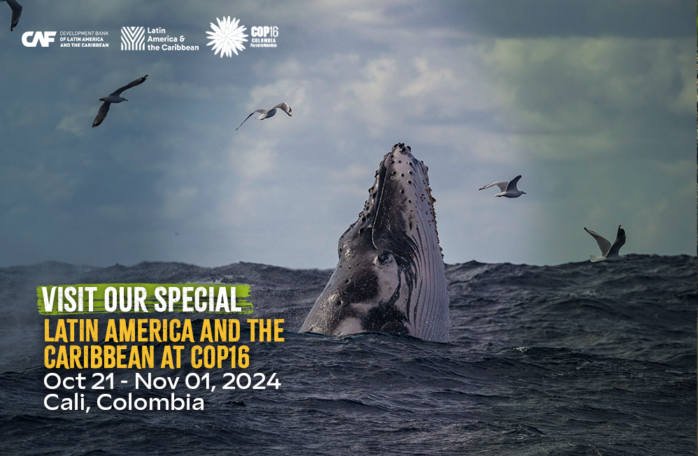 COP16: Biodiversity Unites Latin America and the Caribbean