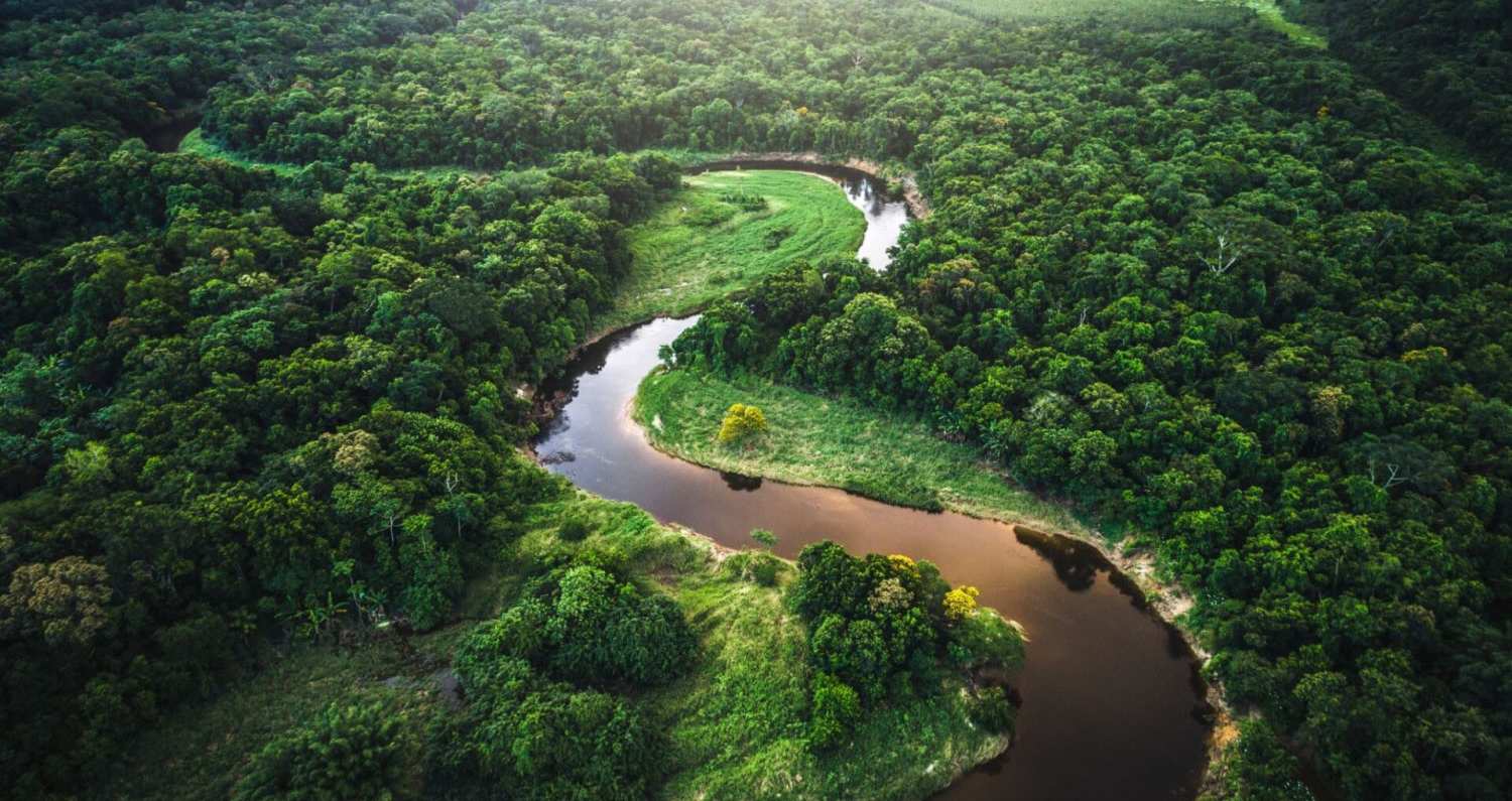 Bosques atlánticos