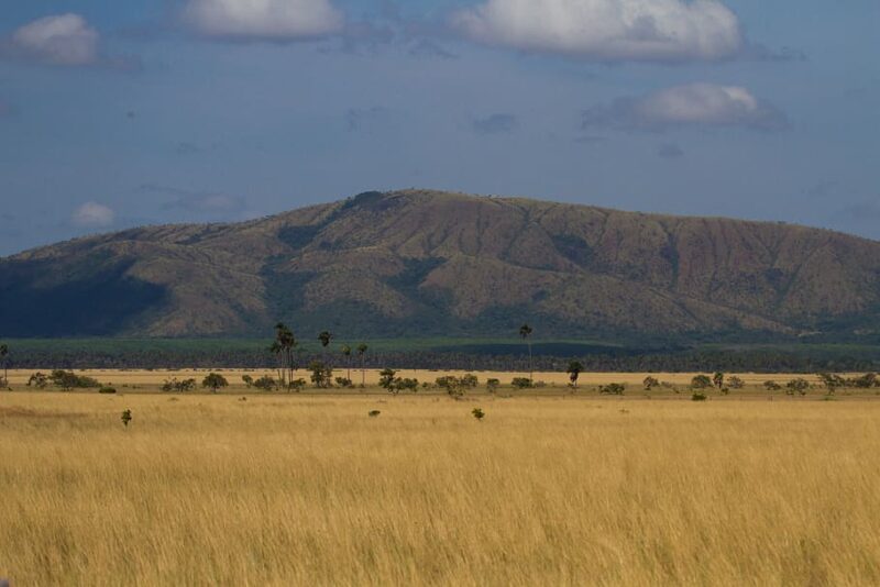 Bosques y Sabanas del Cerrado