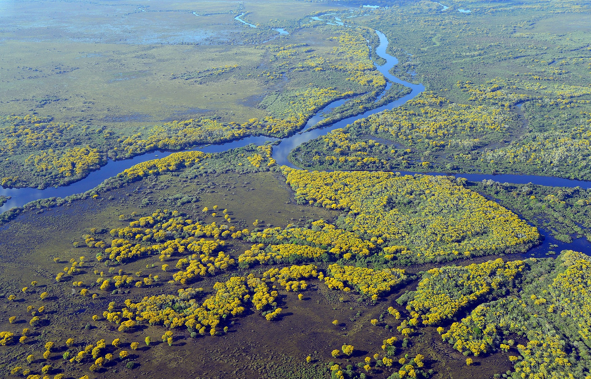 Ecosistemas de la Cuenca del Plata