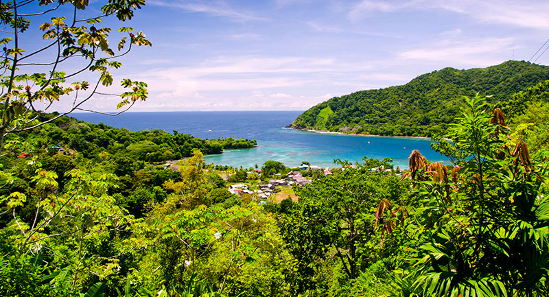 Bosques de Tumbes, Chocó y Magdalena