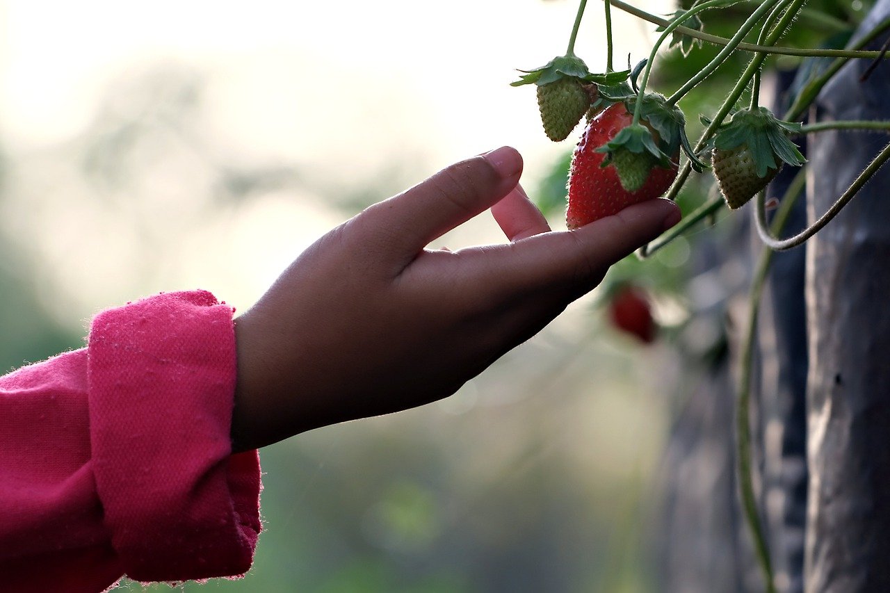 CAF se une la Alianza Global contra el Hambre y la Pobreza