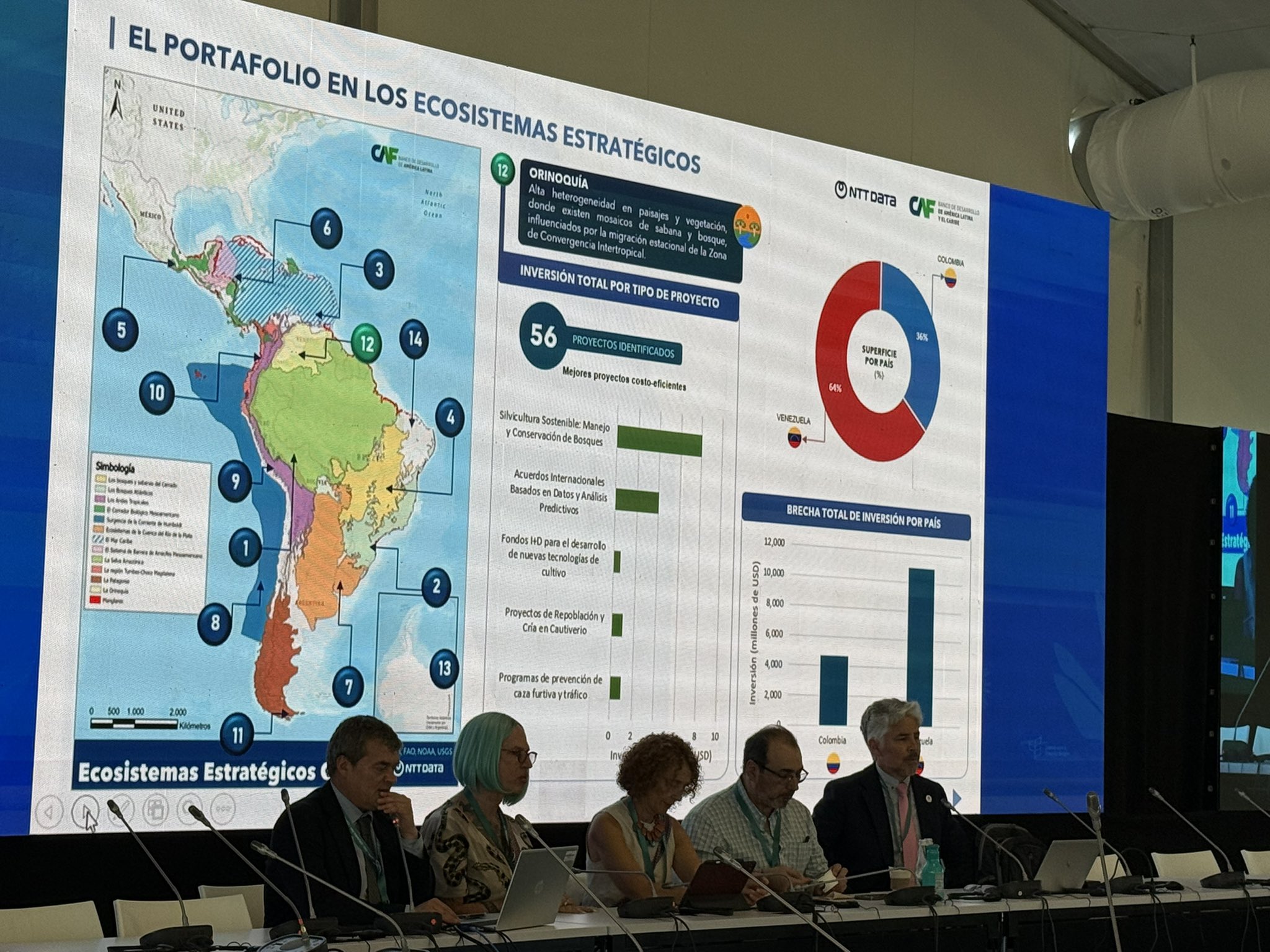 CAF presenta su nuevo enfoque estratégico sobre ecosistemas