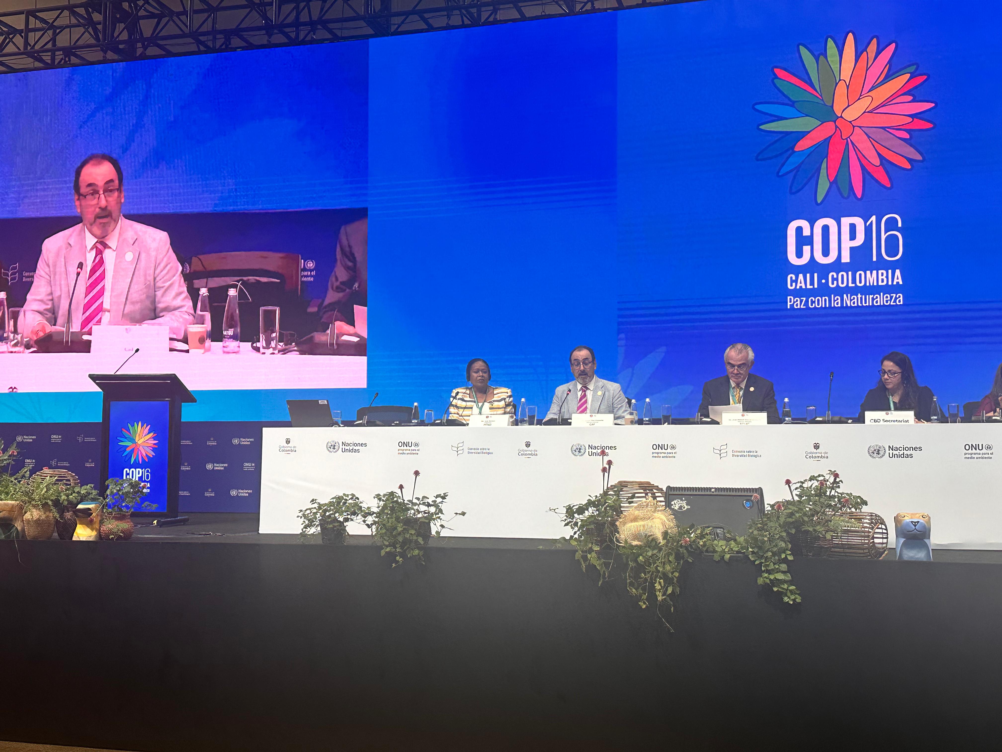 Presidente de CAF reafirma a ALC como solución en plenaria de la COP16