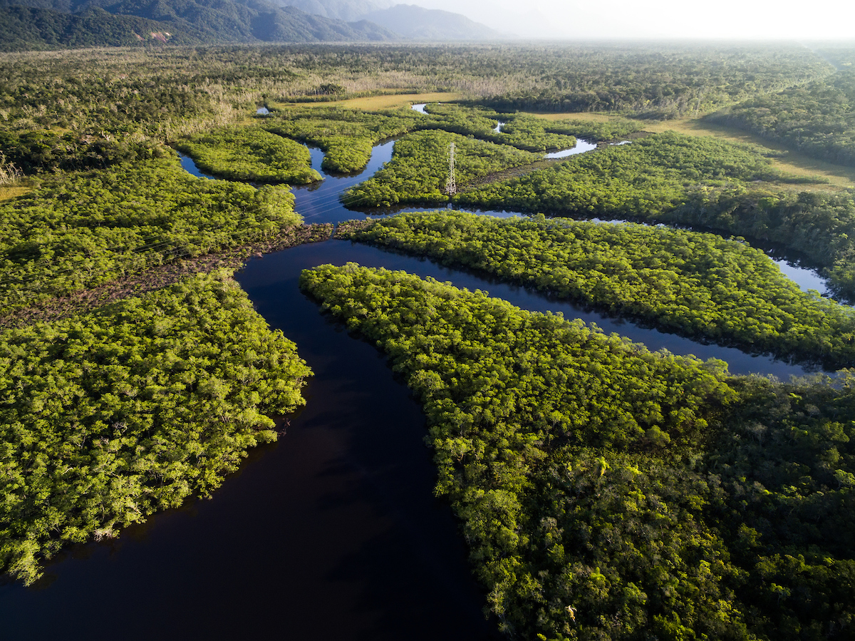 Latin America Moves Towards Cleaner Transport Systems