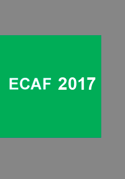 Encuesta CAF 2017