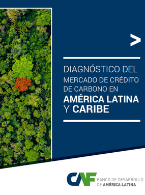 Diagnóstico del mercado de crédito de carbono en América Latina y el Caribe