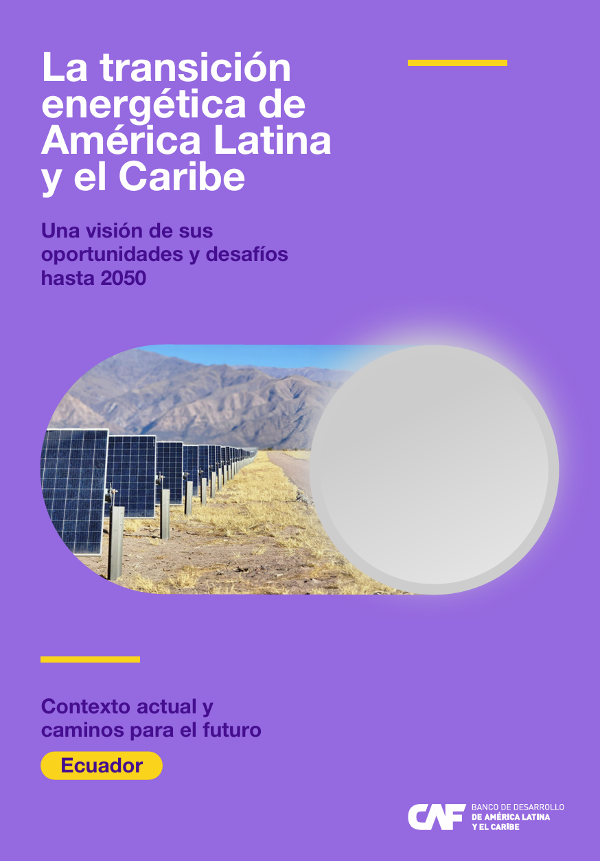 La transición energética de América Latina y el Caribe. Una visión de sus oportunidades y desafíos hasta 2050. Contexto actual y caminos para el futuro en Ecuador